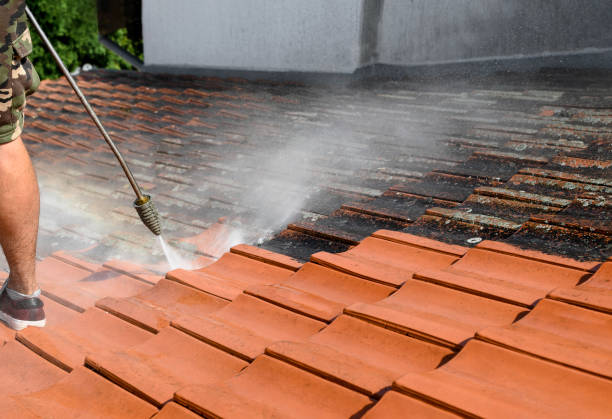 Best Pressure Washing Near Me  in Lenexa, KS