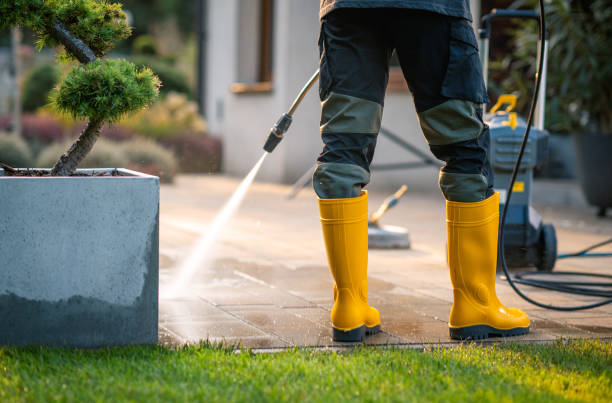 Best Affordable Power Washing  in Lenexa, KS